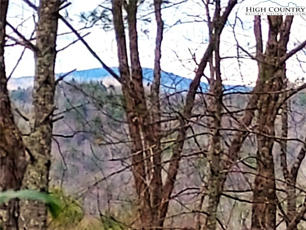 5354 West Ridge Lane, Ferguson, NC 28624 - #1