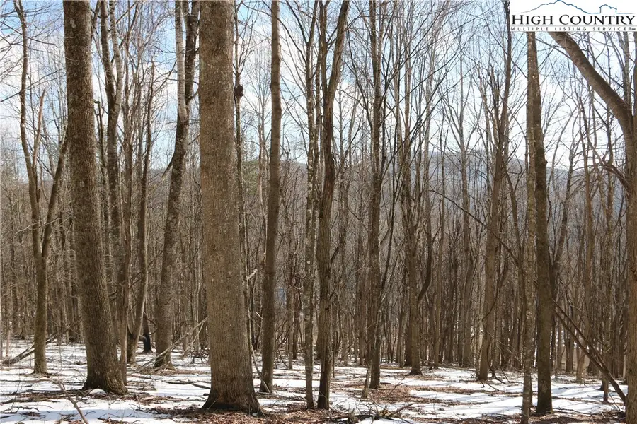 TBD Longhope Road, Todd, NC 28684 - #2