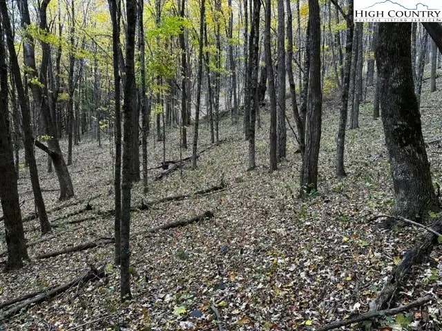 TBD Longhope Road, Todd, NC 28684 - #3