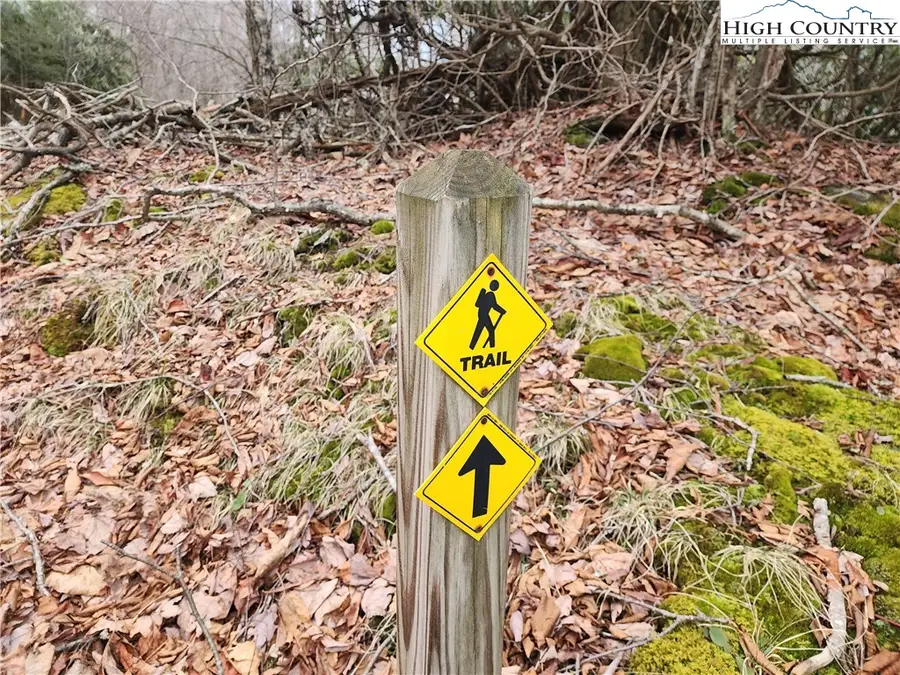 TBD Gumtree Road, Beech Mountain, NC 28604 - #2