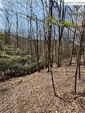 TBD Hwy 88 Highway, Creston, NC 28615 - #2