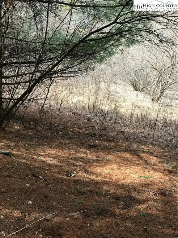 TBD Deer Path Road, Crumpler, NC 28617