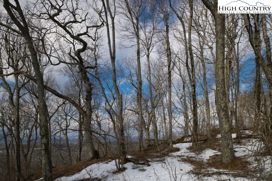Lot 43 Summit Trail, Banner Elk, NC 28604 - #3