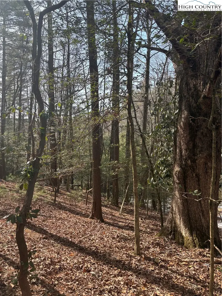 TBD Hollyknoll Rd. Lot #49 & 50, Glade Valley, NC 28627 - #1