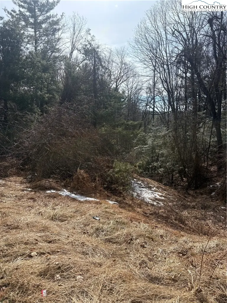 TBD Hollyknoll Rd. Lot #49 & 50, Glade Valley, NC 28627 - #3
