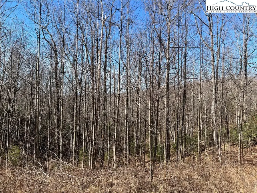 Lot 521 Timber Rock Drive, Patterson, NC 28604 - #2