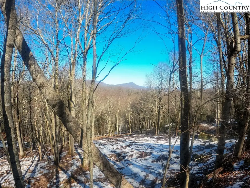 Lot 78 Belmont, Boone, NC 28607 - #1