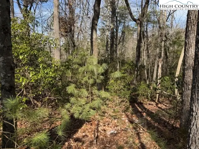 TBD Lot 18 Walden Lane, West Jefferson, NC 28694 - #2
