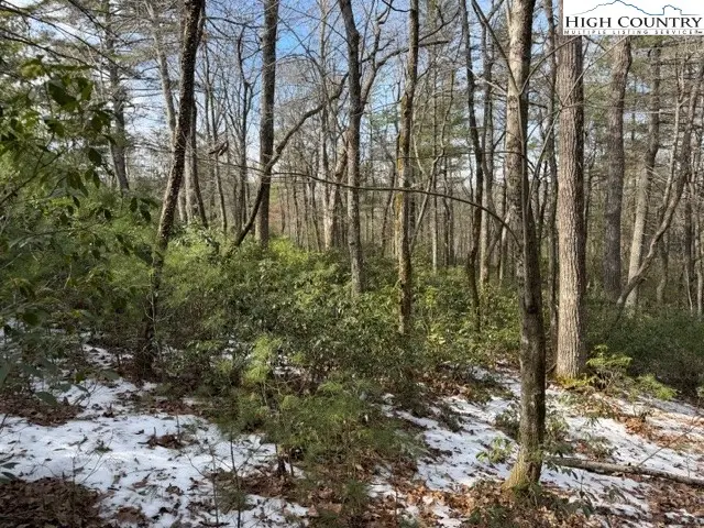 TBD Lot 18 Walden Lane, West Jefferson, NC 28694 - #3