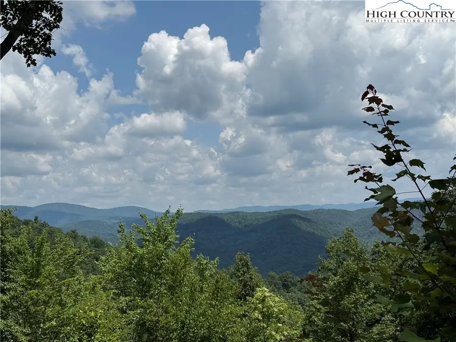 337 Lucas Path Drive, Purlear, NC 28665 - #3