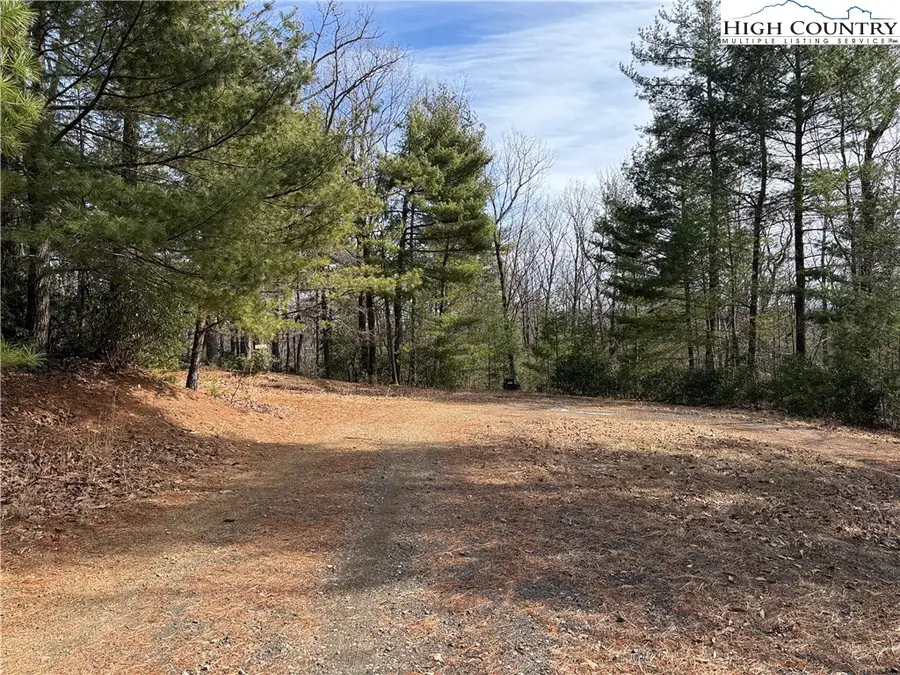 Lot 120 Rich Pine Drive, Purlear, NC 28665 - #3