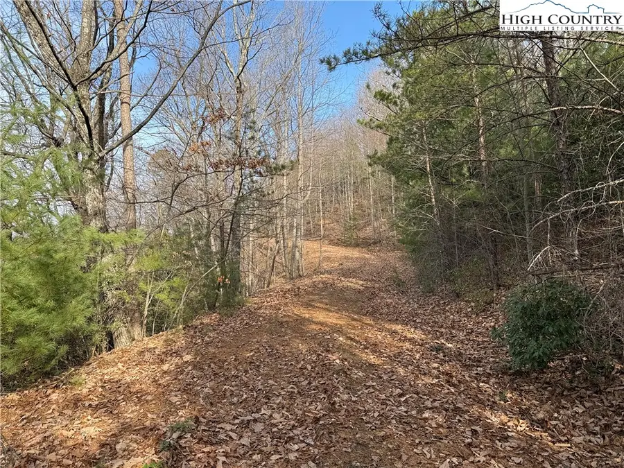 Lots 207 & 220 Maple Valley Lane, Purlear, NC 28665 - #2