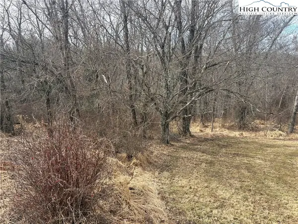 TBD 4-K River Run Lane, Sparta, NC 28675