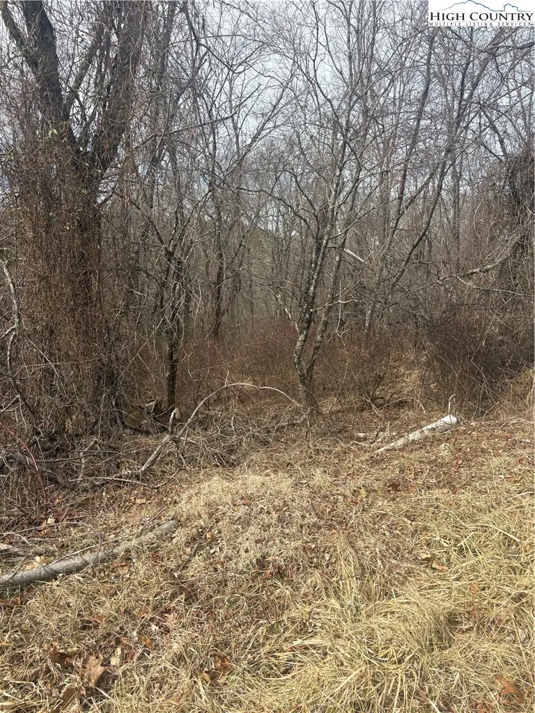 TBD 4-K River Run Lane, Sparta, NC 28675 - #2