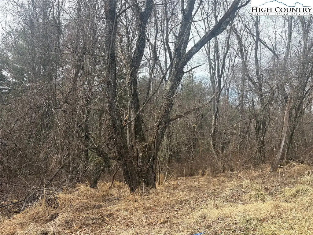 TBD 5-K River Run Lane, Sparta, NC 28675 - #1