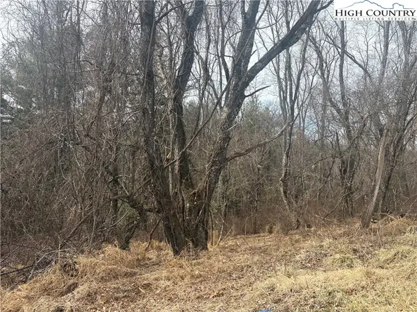 TBD 5-K River Run Lane, Sparta, NC 28675