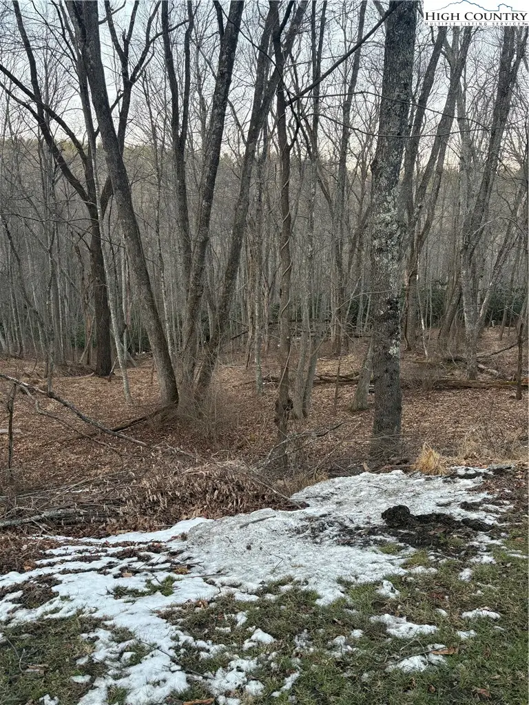 TBD 3-D Silo Road, Sparta, NC 28675 - #2