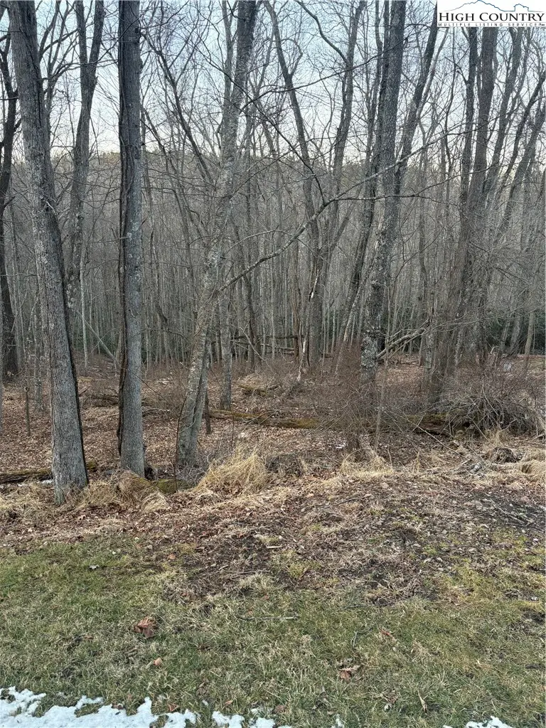 TBD 3-D Silo Road, Sparta, NC 28675 - #3