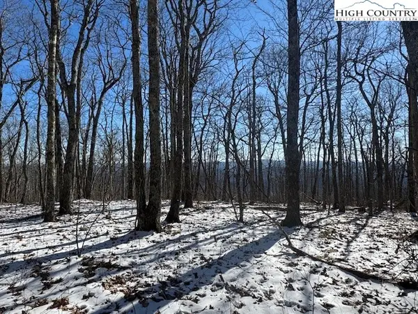 TBD Lot 88 Relaxation Point, Todd, NC 28684