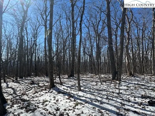 TBD Lot 88 Relaxation Point, Todd, NC 28684 - #3