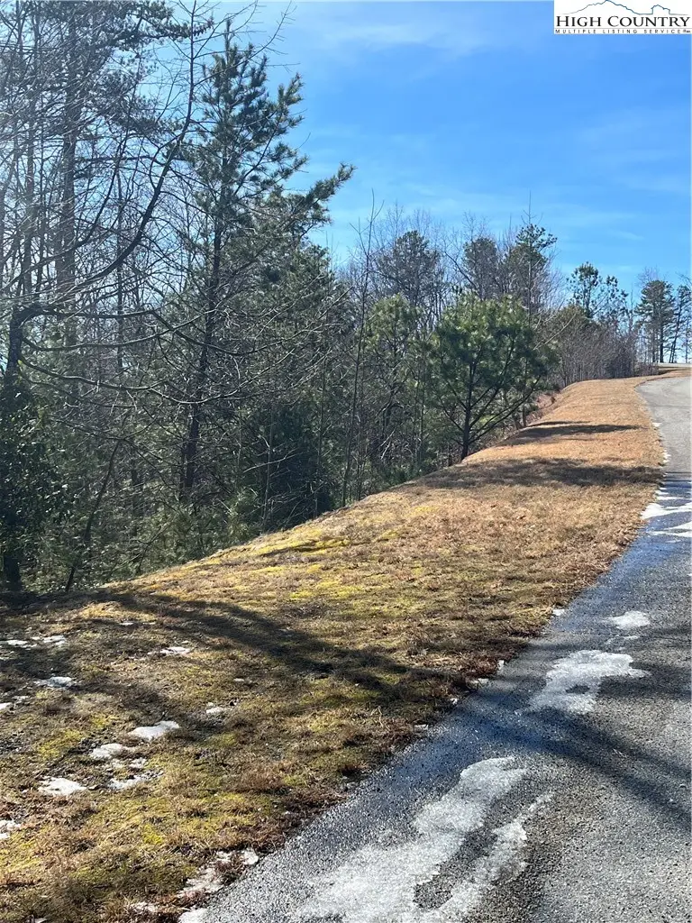 LOT 99 Nightshade Road, Boone, NC 28607 - #3