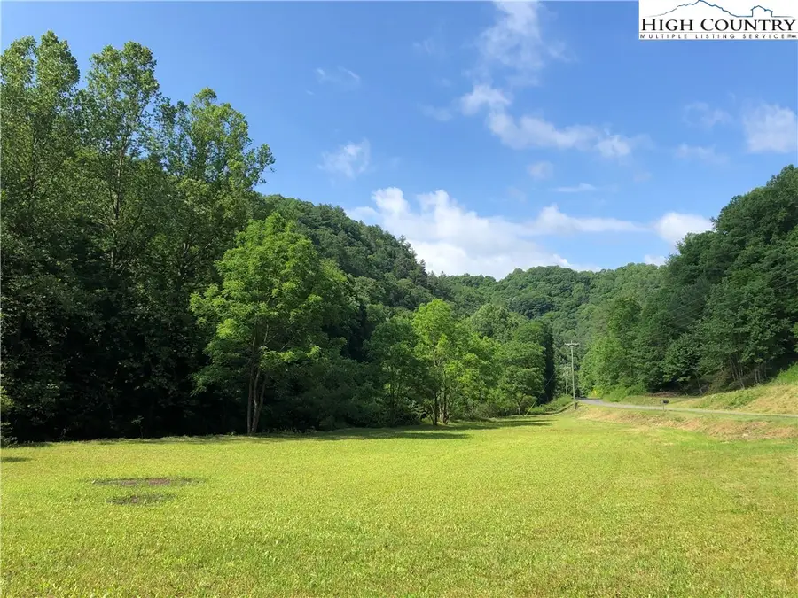 676 Big Helton Road, Grassy Creek, NC 28631 - #3