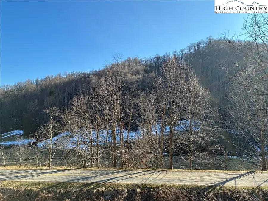 838 Rock Creek Road, Creston, NC 28615 - #3