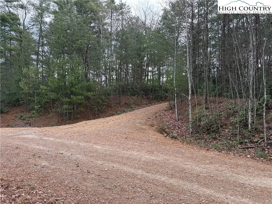 Lot 82 Deer Antler Drive, Purlear, NC 28665 - #3