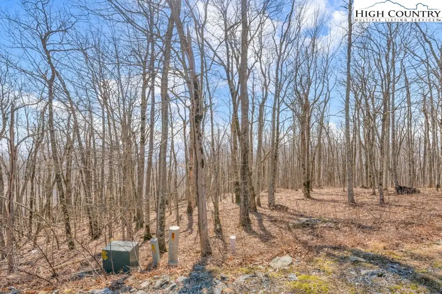 Lot 86 Elk Mountain Parkway, Todd, NC 28684 - #3