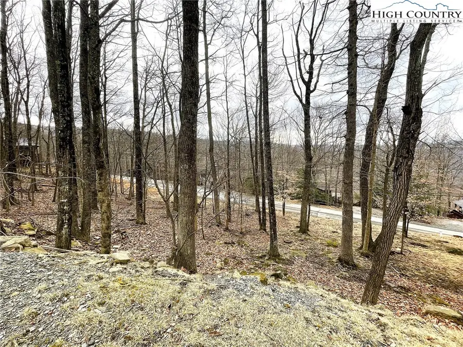 131 Clubhouse Road, Beech Mountain, NC 28604 - #3