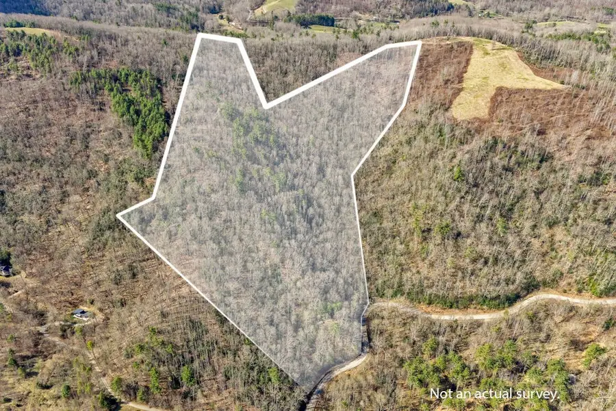 TBD Rominger Road, Sugar Grove, NC 28679 - #2