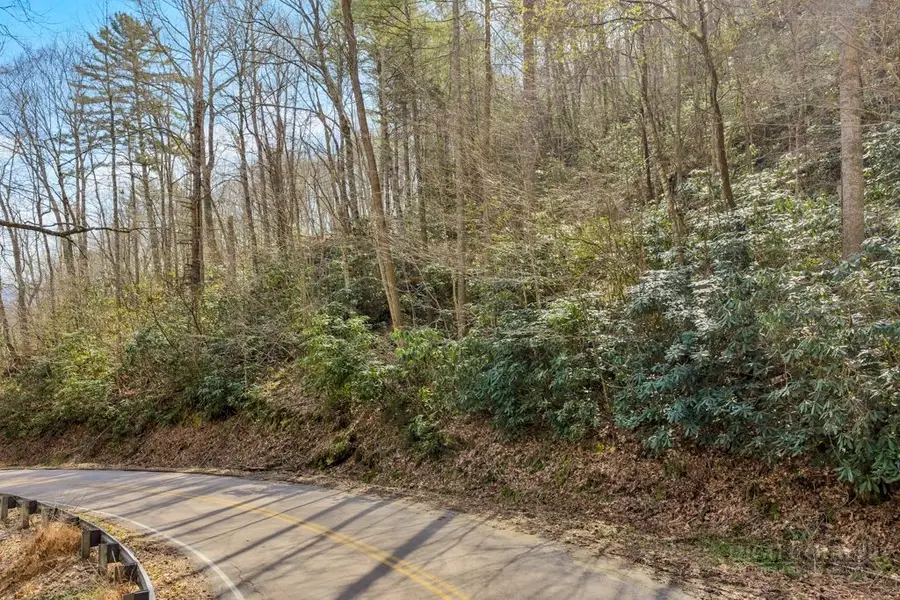 TBD Rominger Road, Sugar Grove, NC 28679 - #3