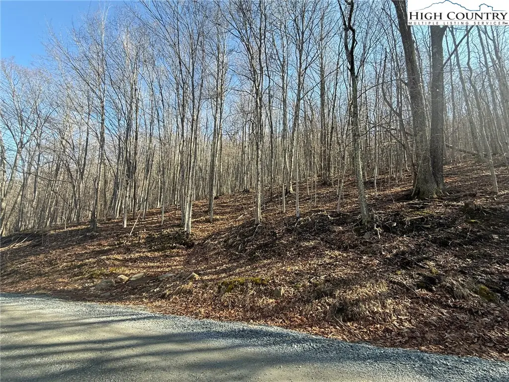 134 Locust Ridge Road, Beech Mountain, NC 28604 - #1