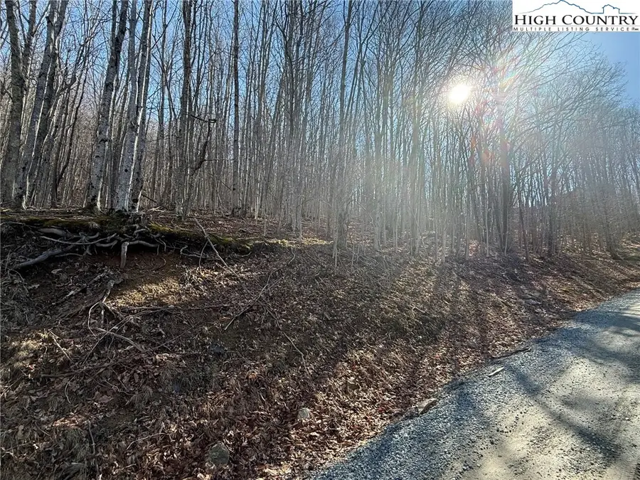 134 Locust Ridge Road, Beech Mountain, NC 28604 - #3