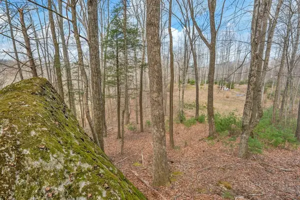 TBD Denney Wood Road, Sugar Grove, NC 28679
