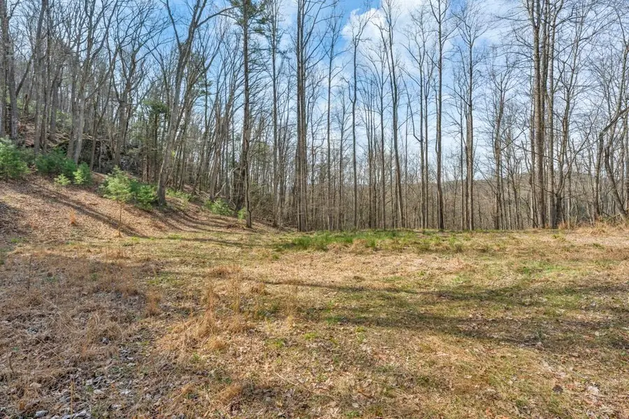 TBD Denney Wood Road, Sugar Grove, NC 28679 - #2
