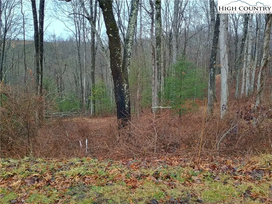 TBD Riverside Drive, Sparta, NC 28675 - #2