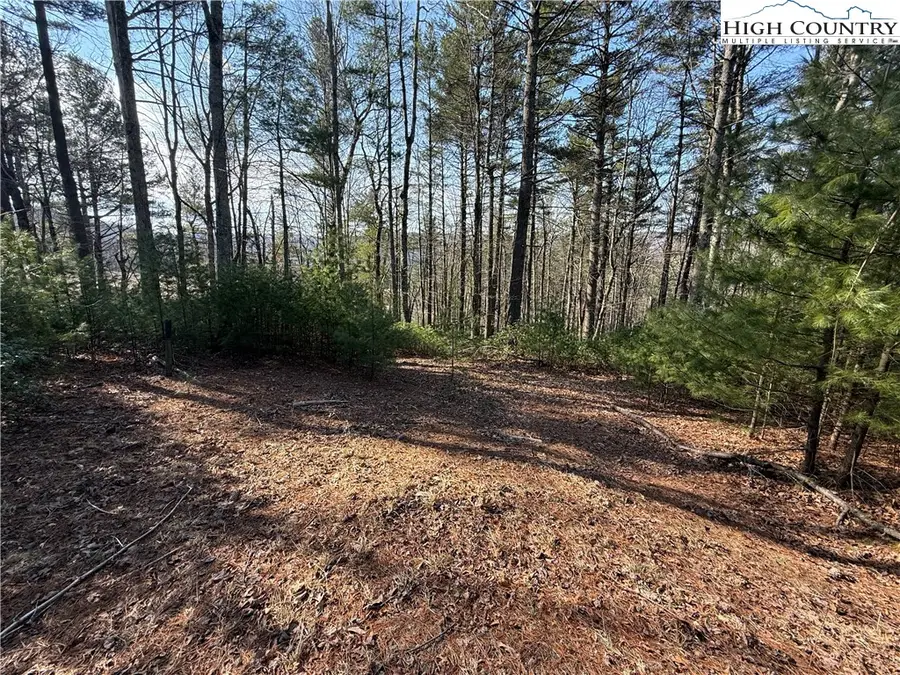 TBD Walden Lane, West Jefferson, NC 28694 - #2