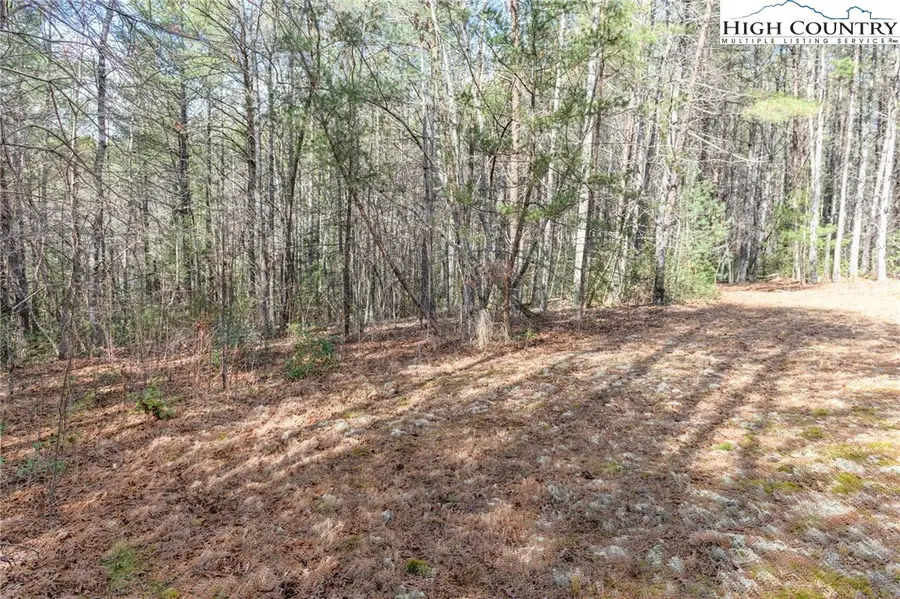 000 Narrow Gauge Drive #23, Lenoir, NC 28645 - #2