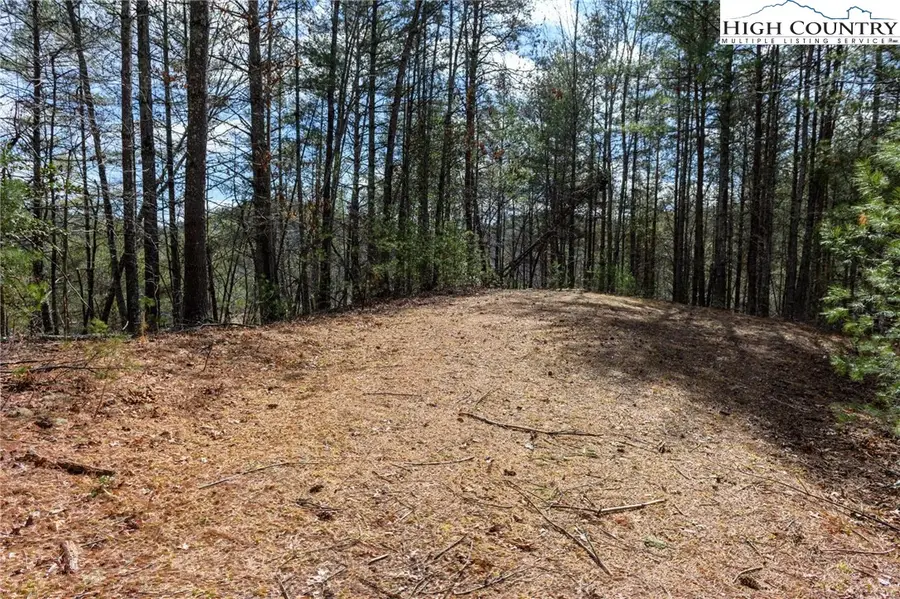 000 Narrow Gauge Drive #23, Lenoir, NC 28645 - #3