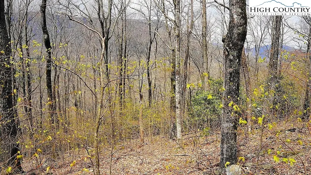 TBD Fairway Ridge Drive, West Jefferson, NC 28694 - #1