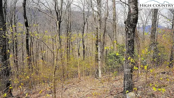 TBD Fairway Ridge Drive, West Jefferson, NC 28694