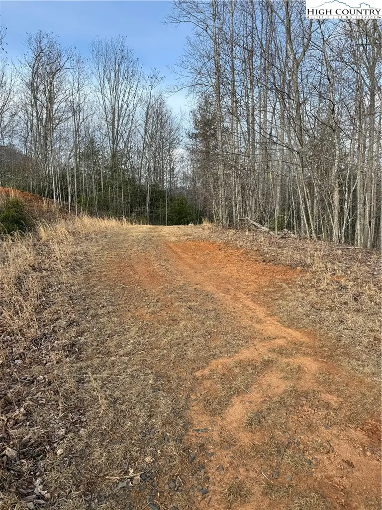 0 White Fawn Drive, Spruce Pine, NC 28777 - #1