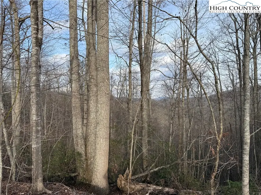 0 White Fawn Drive, Spruce Pine, NC 28777 - #3