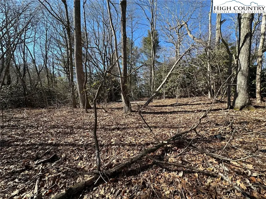 Lot 1 Hummingbird Lane, Blowing Rock, NC 28605 - #2