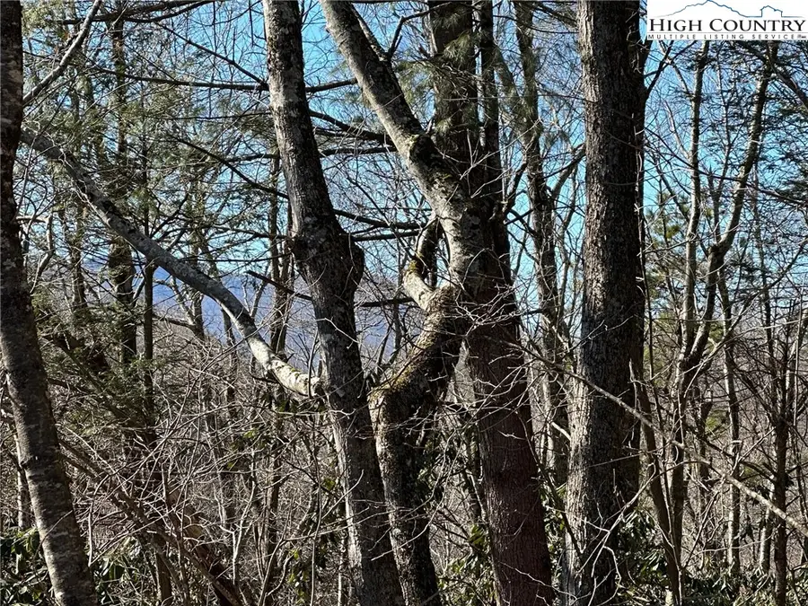 Lot 1 Hummingbird Lane, Blowing Rock, NC 28605 - #3
