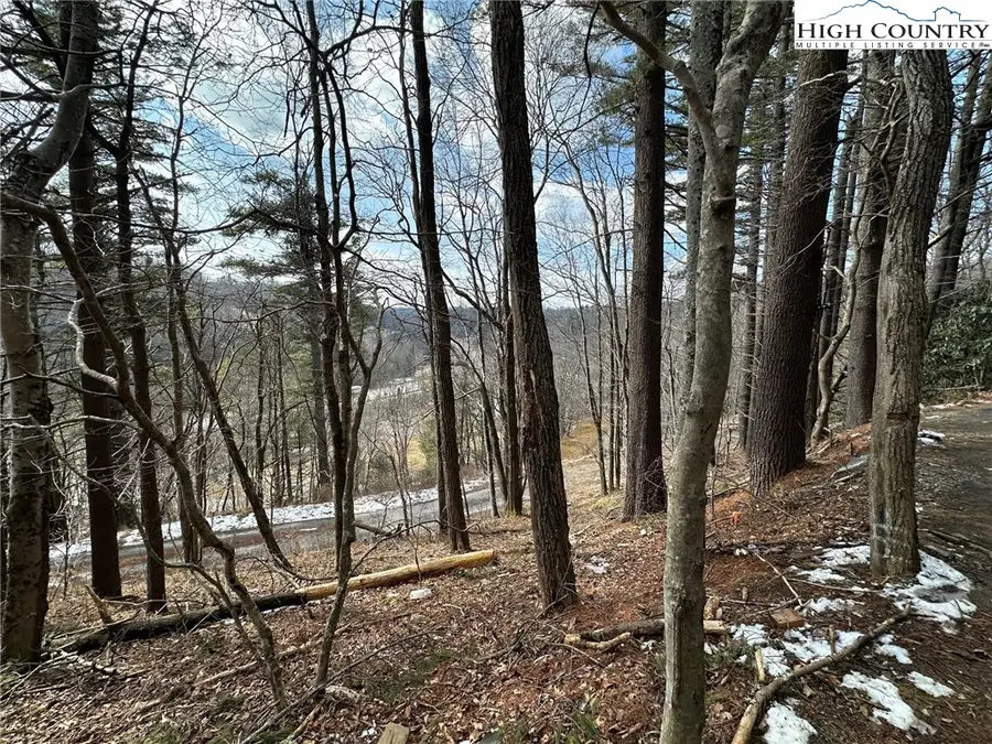 240 Ski Crest Park, Blowing Rock, NC 28605 - #3