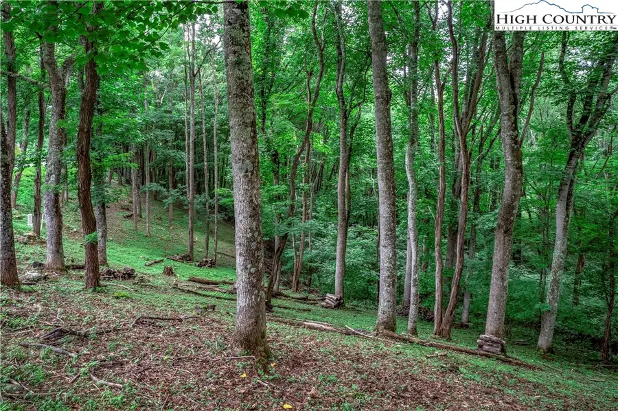 C604 Sugartree Nvno, Zionville, NC 28698 - #2