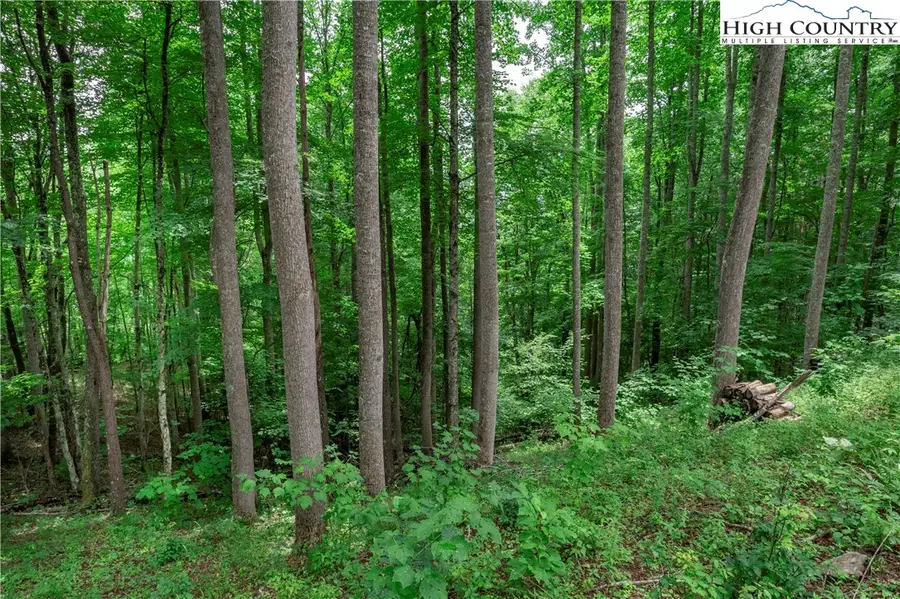 C605 Sugartree Nvno, Zionville, NC 28698 - #2