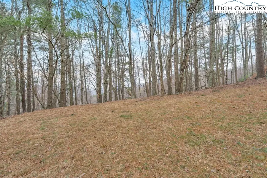 Tract 30R Valle Cay Drive, Vilas, NC 28692 - #2